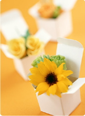 ���X�g�J�b�g �J�E���Z�����O