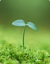 ��������Q